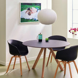 CPH20 Round dia120 black linoleum wb lacquered oak_AAC22 black 2.0 shell wb lacquered oak_Nelson Ball Bubble Pendant M.jpg
