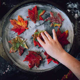 Untitled-48.jpg