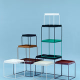 Tray Table collection.jpg
