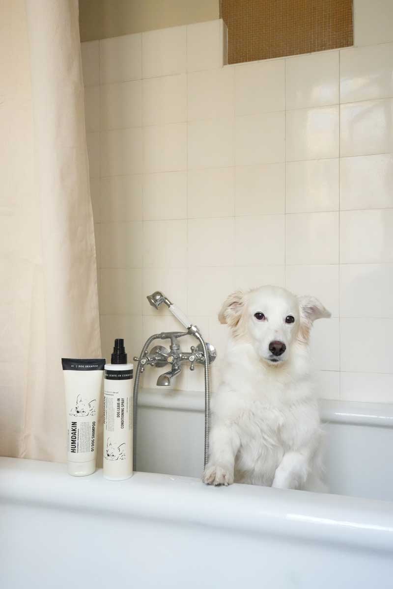 humdakin-hundeprodukter-02.jpg