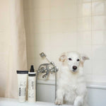 humdakin-hundeprodukter-02.jpg
