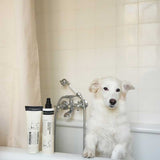 humdakin-hundeprodukter-02.jpg
