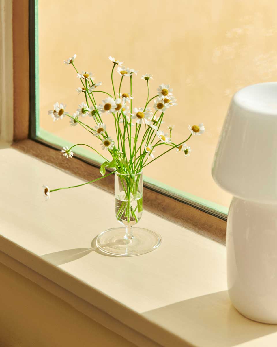 Tiny-Vase-clear_Apollo-Portable-white.jpg
