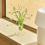 Tiny-Vase-clear_Apollo-Portable-white.jpg