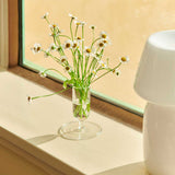 Tiny-Vase-clear_Apollo-Portable-white.jpg