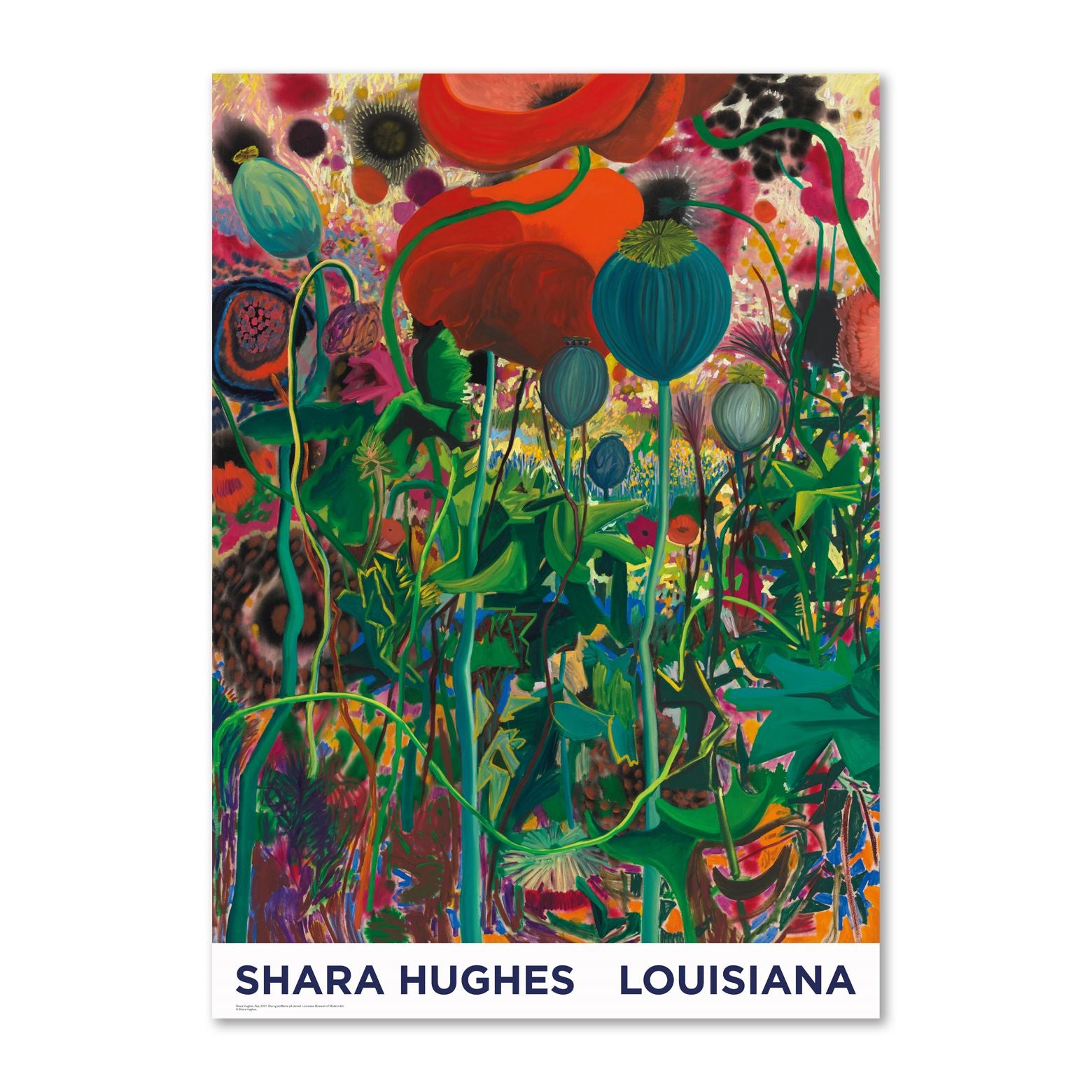 Shara Hughes - Pop (2021)  (1).jpeg