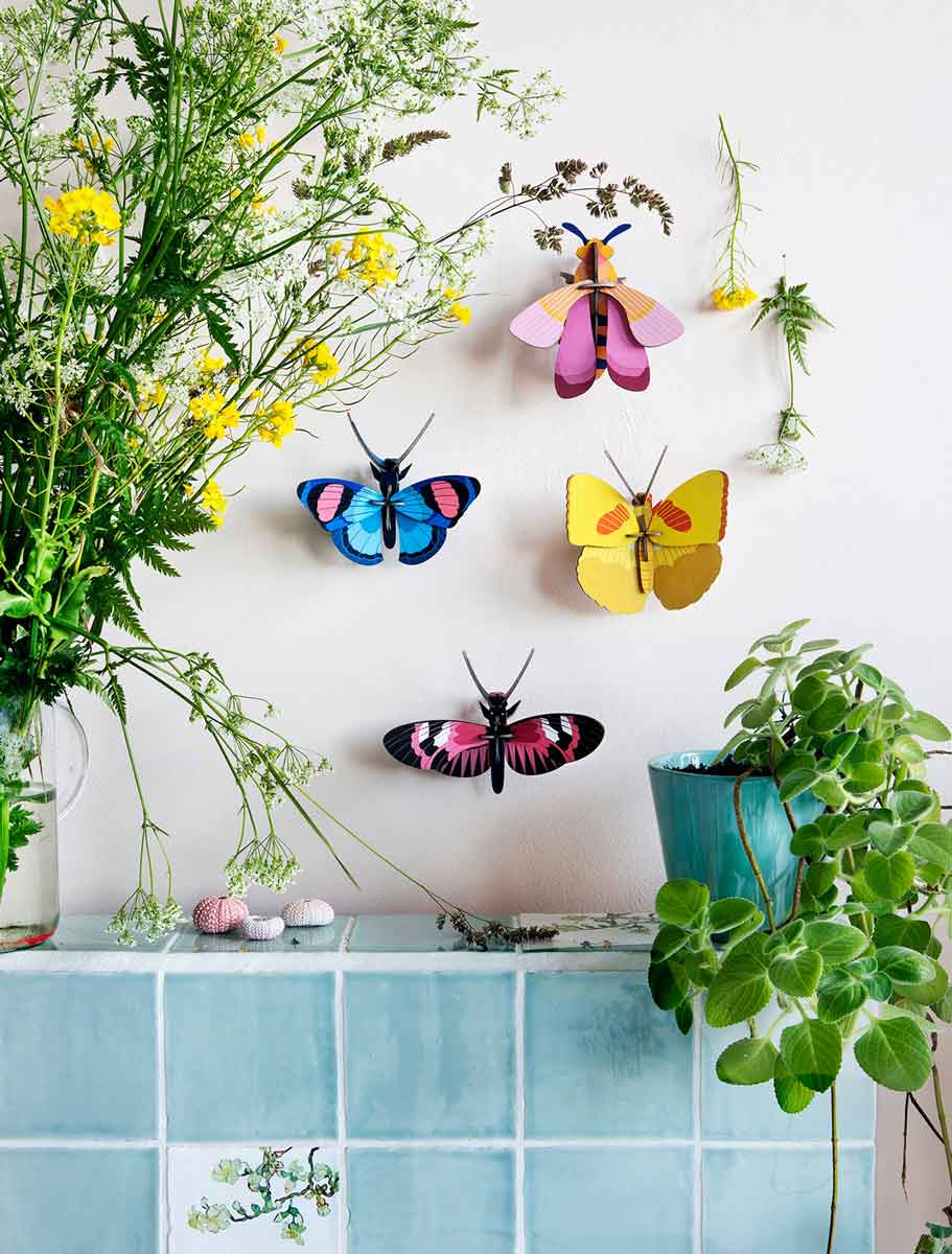 butterflies.jpg