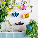 butterflies.jpg
