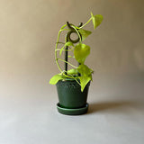 BERGS-POTTER_plant-stake_Folk_Oni_mogr_6591_jk.jpg