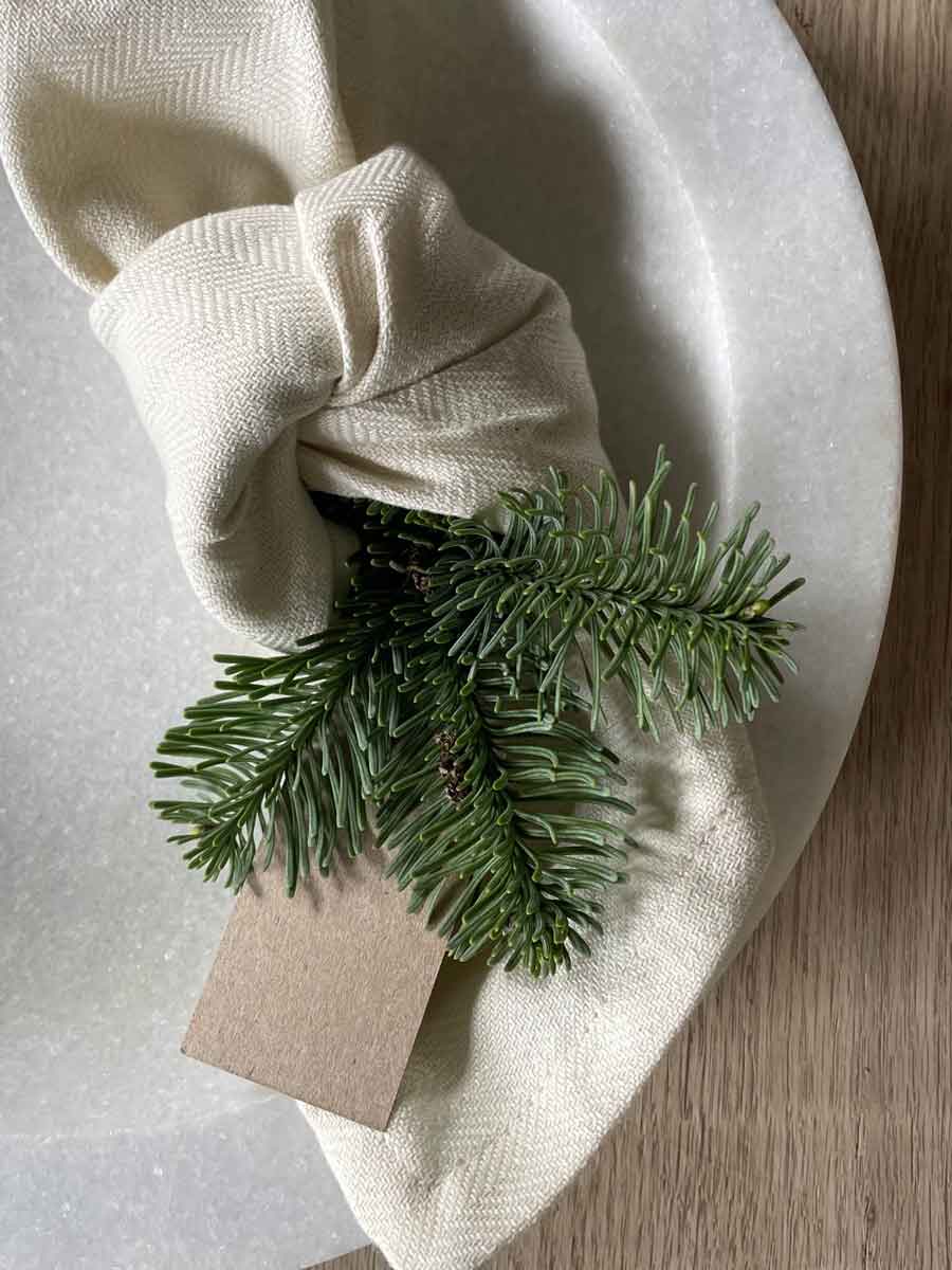 HUMDAKIN-SKU237-NAPKIN-SHELL-A.jpg