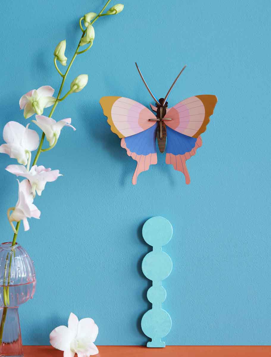GOLD-RIME-BUTTERFLY_WEBSITE-AMBIENT.jpg