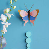 GOLD-RIME-BUTTERFLY_WEBSITE-AMBIENT.jpg