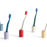 Toothbrush Holder family.jpg