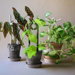BERGS-POTTER_plant-stake_Folk_Hinto_Yuma_Oni_mogr_pest_2195_jk.jpg