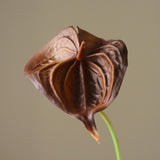 Untitled-32.jpg