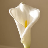 Untitled-49.jpg