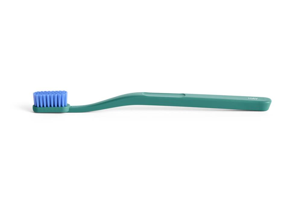 AD570-F121_Tann Toothbrush pine green_blue.jpg