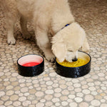 HAY-Dogs-Bowl-S-blue-and-red-and-off-white_HAY-Dogs-Bowl-L-blue-and-yellow-and-off-white.jpg