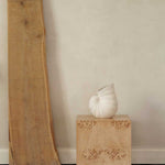 fermLIVING_AW24_ShellVase_Off-white_1104269904_BurlCubeSideTable_Natural_1104270162.jpg