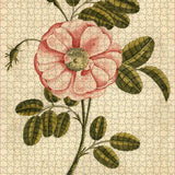 Untitled-48.jpg
