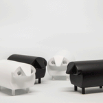 _A3A6703_2.gif