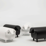 _A3A6703_2.gif