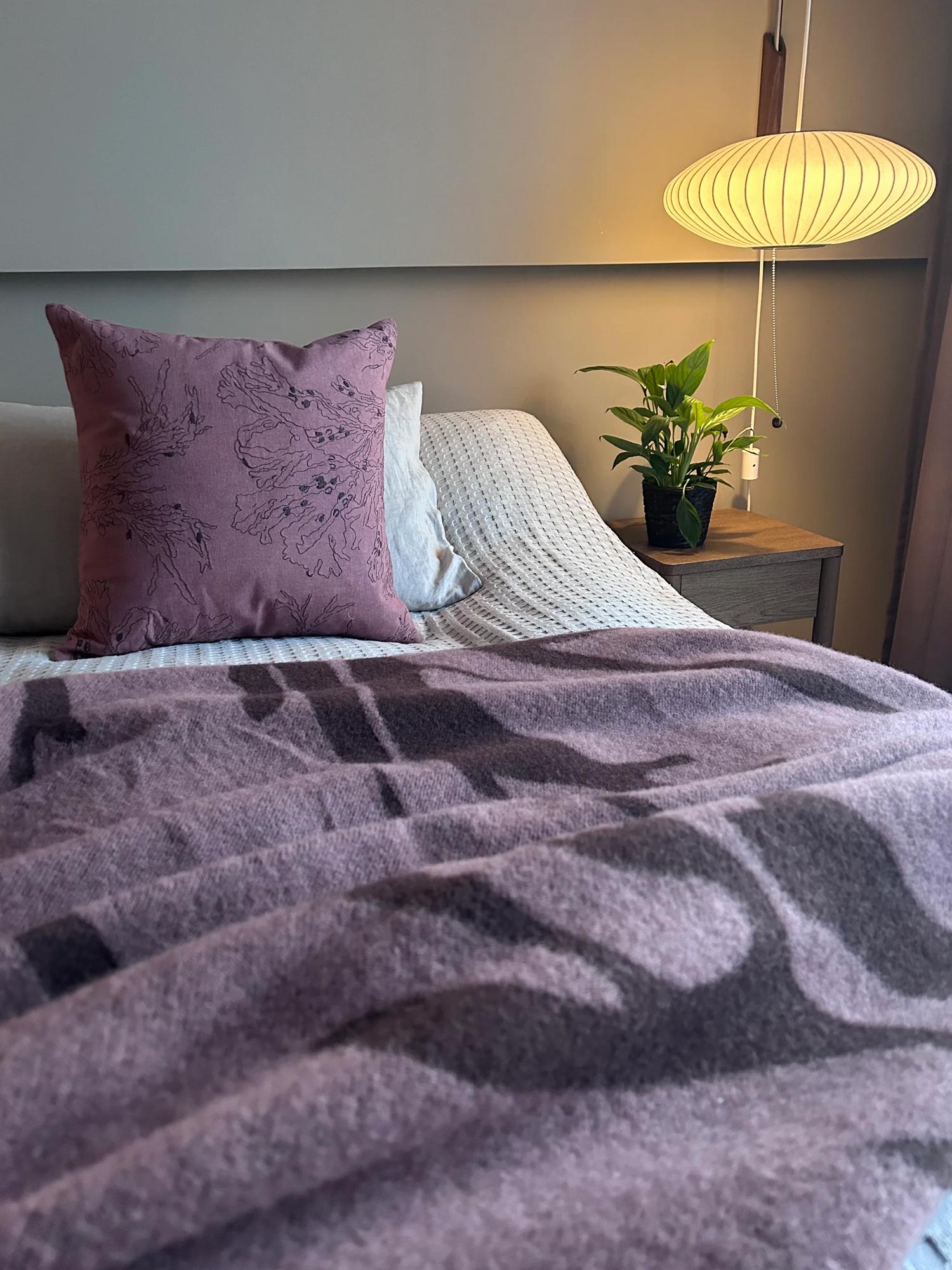 Untitled-14.jpg