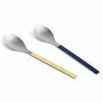 AD873-A668-AO21_MVS-Serving-Spoon-set-of-2-dark-blue_yellow.jpg