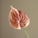 Untitled-35.jpg