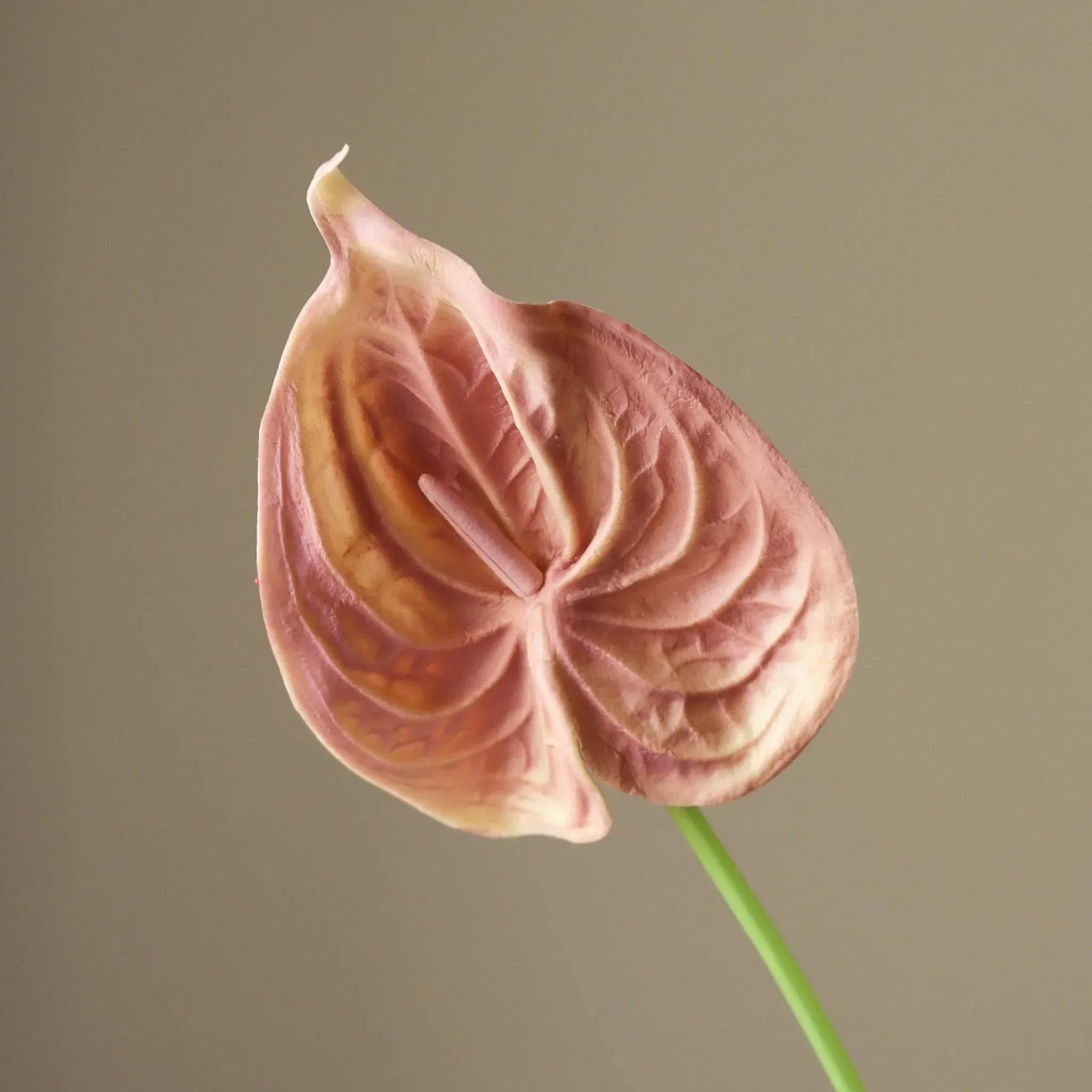Untitled-35.jpg