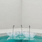 Canopy Umbrella clear 01.jpg