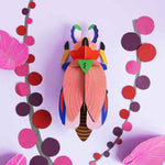 big-insects-giant-ladybeetle-768x1011.jpg