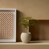 MENU_Plantas_Planter-(5).jpg