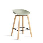 blackAA003-D150-AA51_AAS-32-H65-pastel-green-2.0-shell_wb-laquered-oak-base_stainless-steel-footrest.jpg