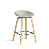 blackAA003-D150-AA51_AAS-32-H65-pastel-green-2.0-shell_wb-laquered-oak-base_stainless-steel-footrest.jpg