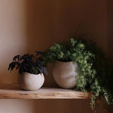 MENU_LS_Plantas_Planter.jpg