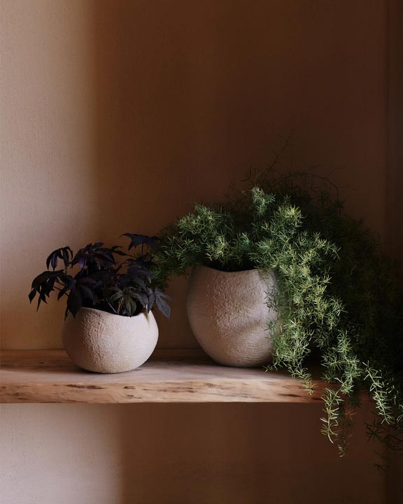 MENU_LS_Plantas_Planter.jpg