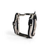 AE931-A602-AS14_HAY Dogs Harness M black_white.jpg