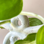 BERGS-POTTER_plant-stake_Folk_Yuma_pest_6579_jk.jpg