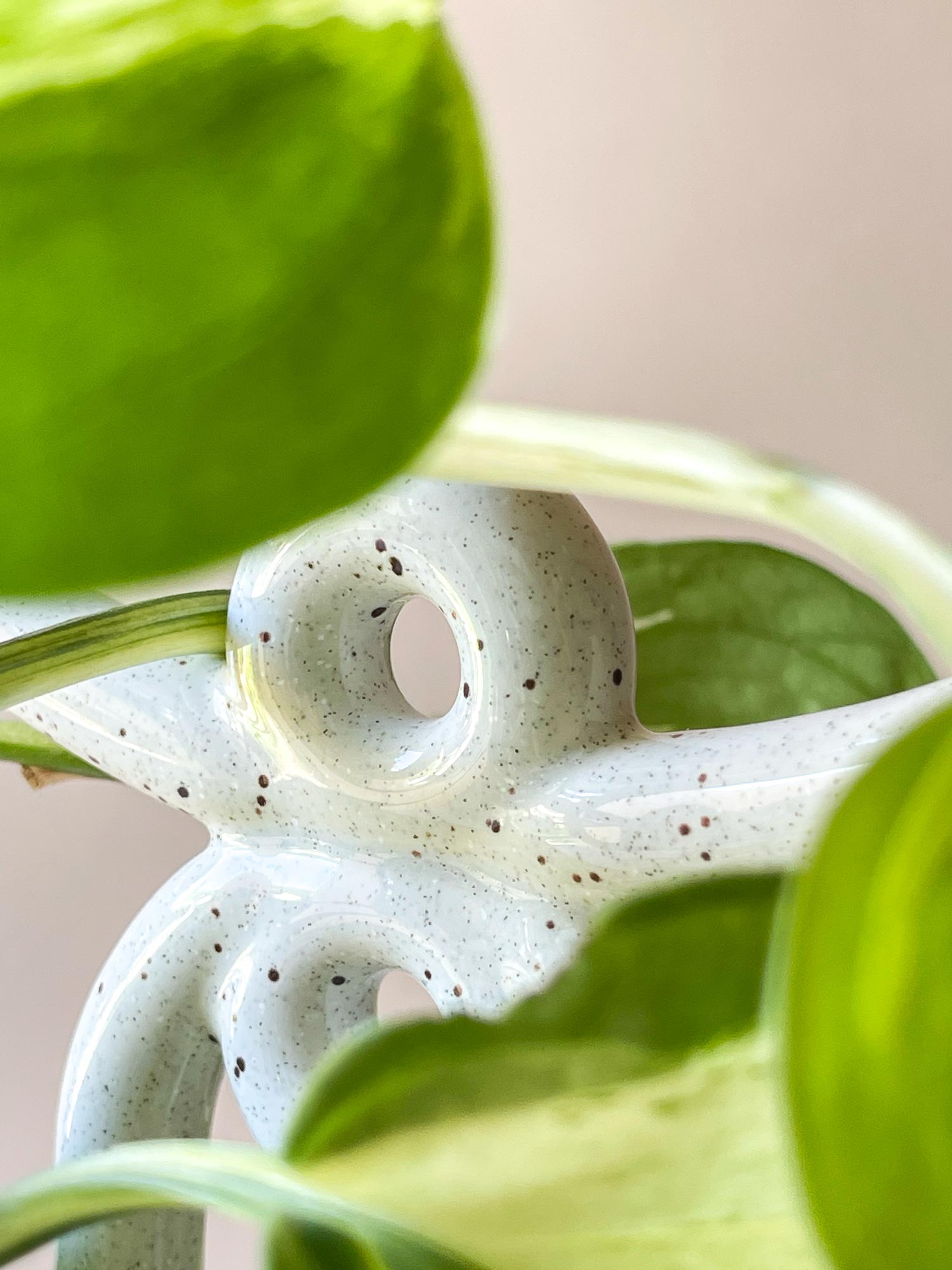 BERGS-POTTER_plant-stake_Folk_Yuma_pest_6579_jk.jpg