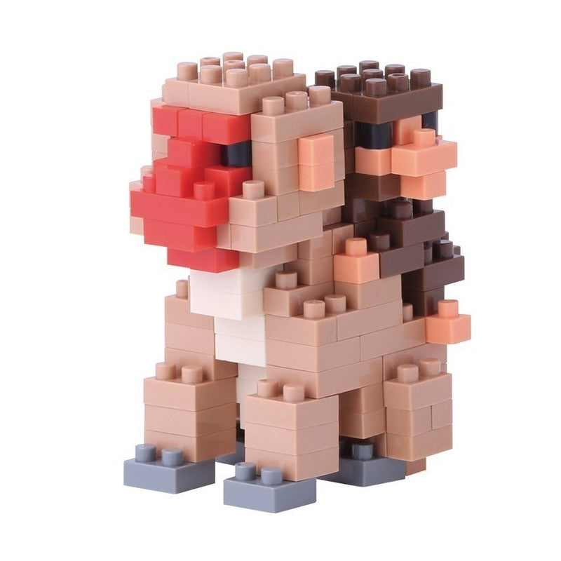 mother-baby-monkey.jpg