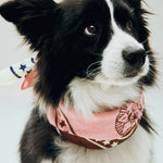 HAY Dogs Scarf Recycled 03.jpg