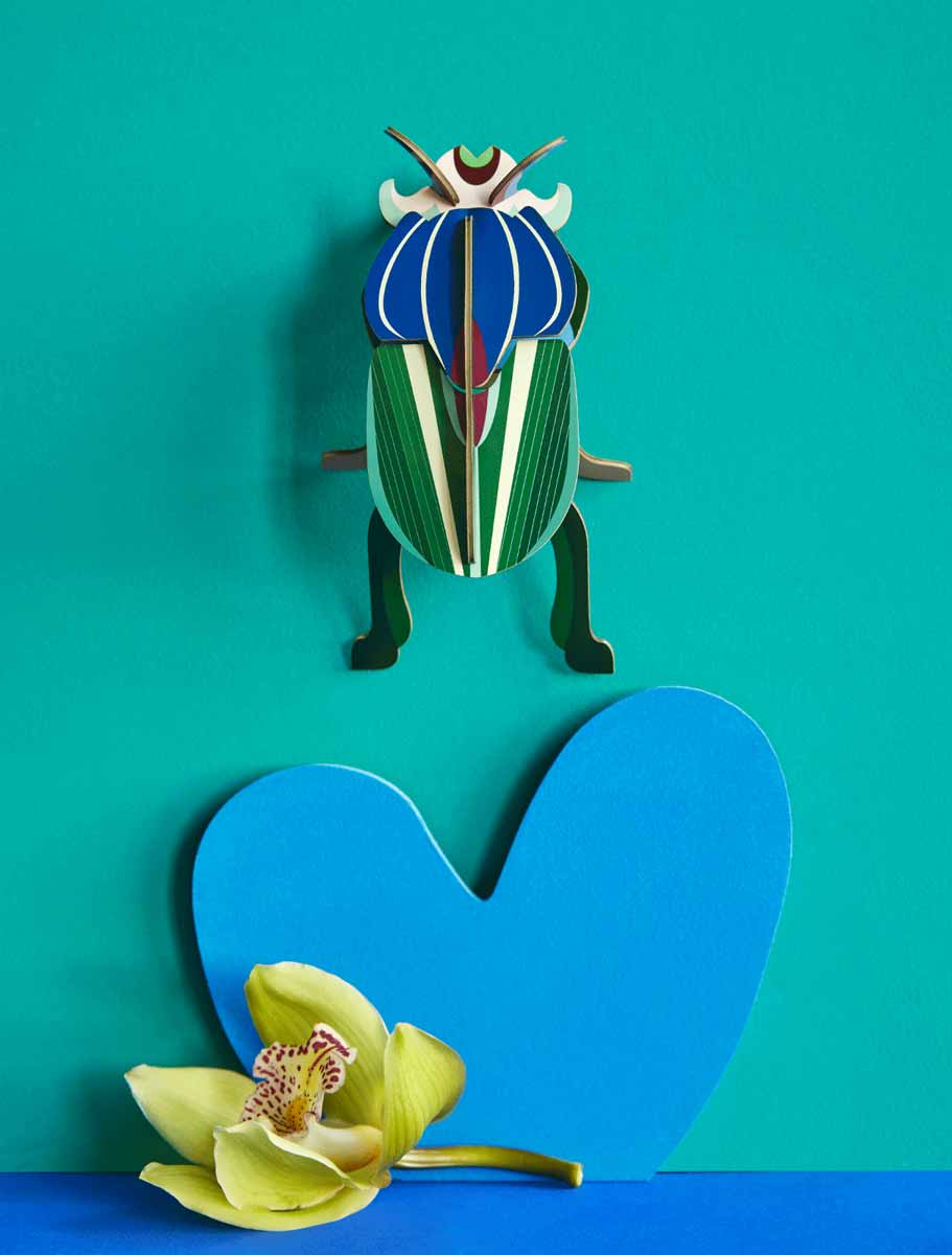 MIMELA-SCARAB-BEETLE_WEBSITE-AMBIENT.jpg