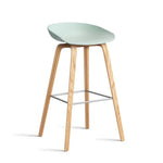 AA006-D141-AA51_AAS-32-H75-dusty-mint-2.0-shell_wb-laquered-oak-base_stainless-steel-footrest.jpg