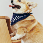 HAY Dogs Scarf Organic dark blue.jpg