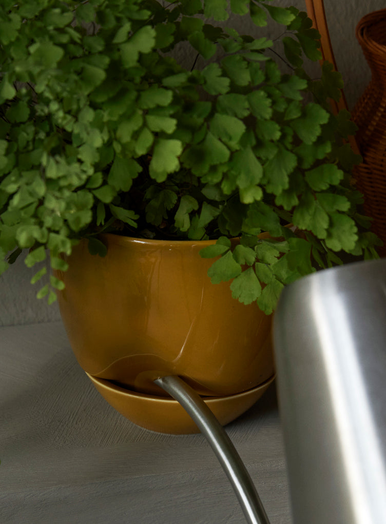 MENU_Hydrous_Planter_Hydrous_Watering_Can (5).jpg