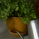 MENU_Hydrous_Planter_Hydrous_Watering_Can (5).jpg