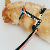 HAY Dogs Harness M multi colour_HAY Dogs Leash Flat M-L pink and black.jpg