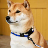 HAY-Dogs-Collar-Flat-blue-and-off-white_HAY-Dogs-Leash-Flat-M-L-blue-and-off-white.jpg