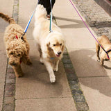 HAY-Dogs-Leash-Flat-M-L-blue-and-off-white_lavender-and-green_HAY-Dogs-Leash-Braided-red-and-blue.jpg
